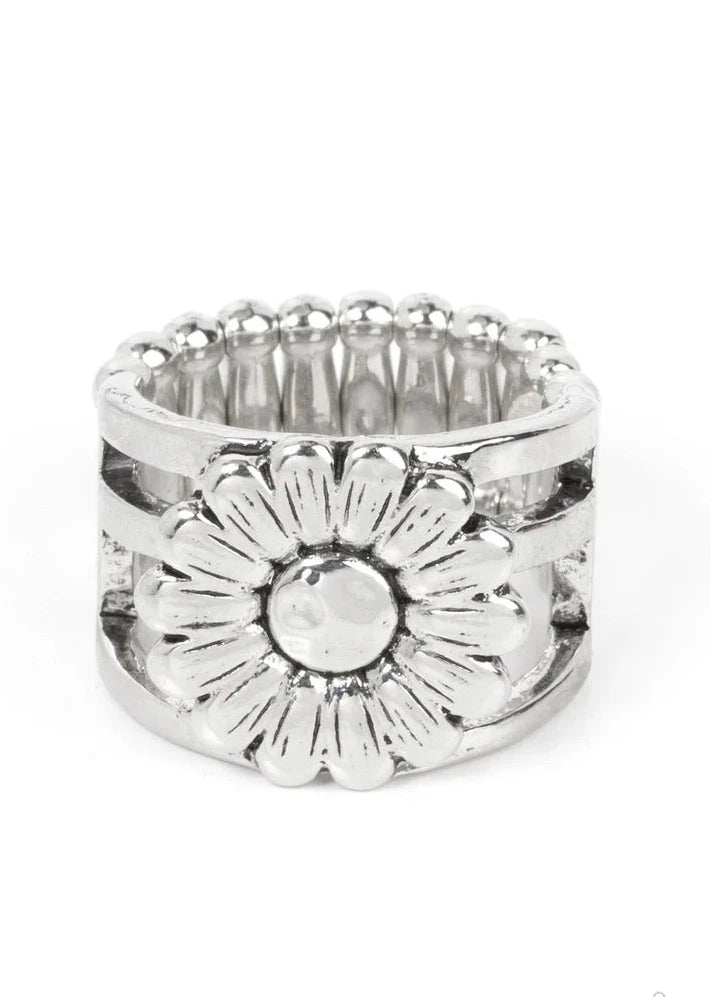 Roadside Daisies - Silver