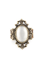 Load image into Gallery viewer, Can You SEER What I SEER - Brass
